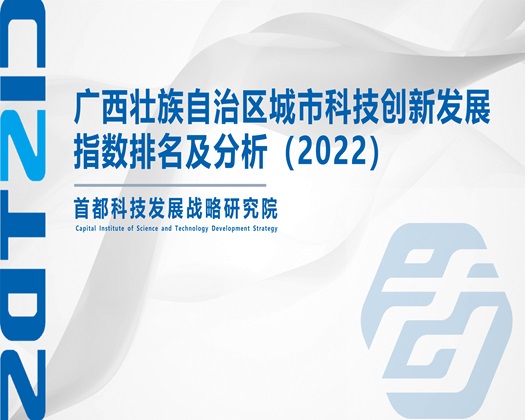 极品美女被操【成果发布】广西壮族自治区城市科技创新发展指数排名及分析（2022）